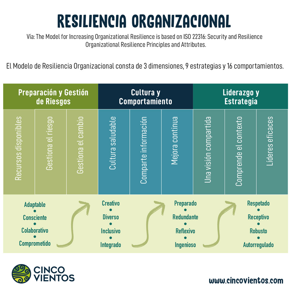 resiliencia organizacional cinco vientos