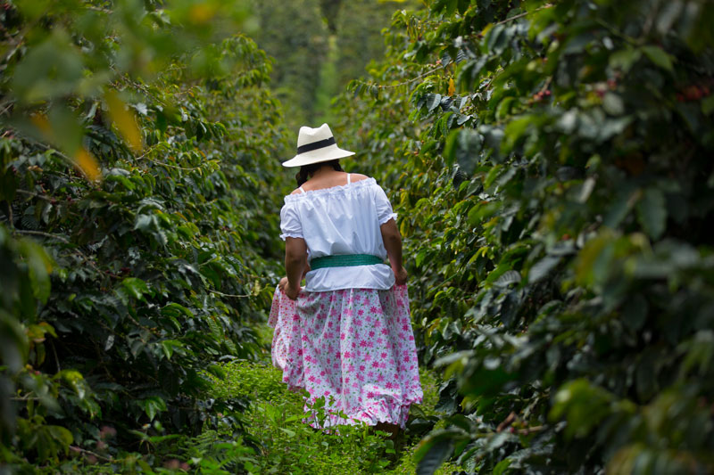 Día Internacional de las Mujeres Rurales